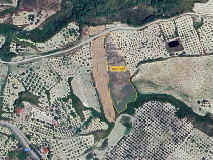 TERRENO GUIDA – CDA LA FRATTA – ALESSANDRIA DELLA ROCCA (AG)