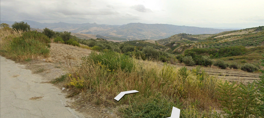 TERRENO GUIDA – CDA LA FRATTA – ALESSANDRIA DELLA ROCCA (AG)