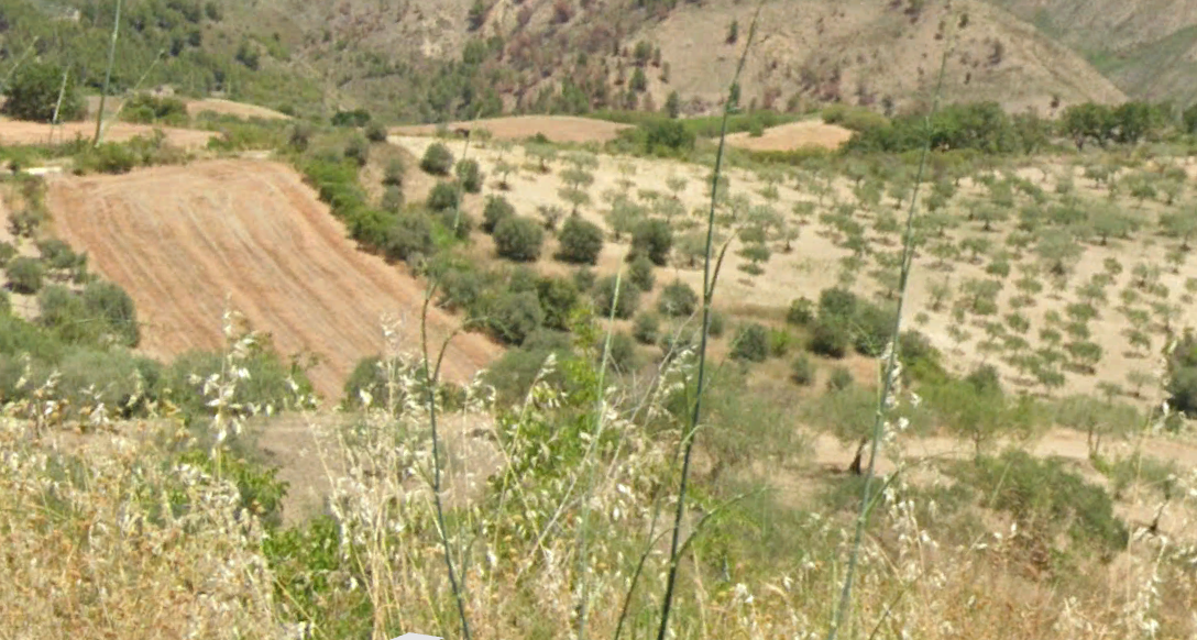 TERRENO GUIDA – CDA LA FRATTA – ALESSANDRIA DELLA ROCCA (AG)