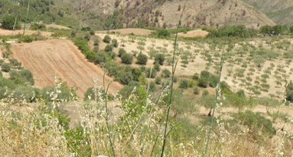 TERRENO GUIDA – CDA LA FRATTA – ALESSANDRIA DELLA ROCCA (AG)