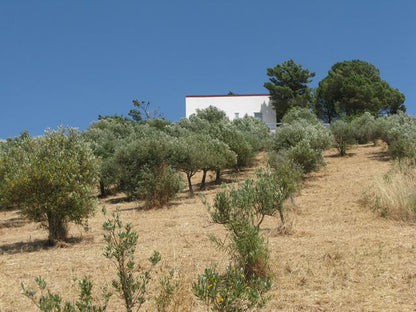 VILLA  PANORAMICA MARTIN – CDA CABIBBI, ALESSANDRIA