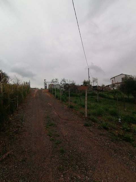CASA IN AFFITTO - CASA OROBELLO