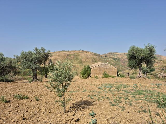 RURAL BUILDING WITH LAND – CONTRADA CASTELLACCIO