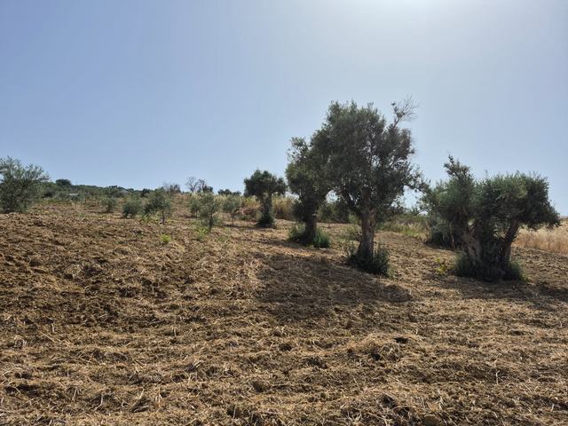 RURAL BUILDING WITH LAND – CONTRADA CASTELLACCIO