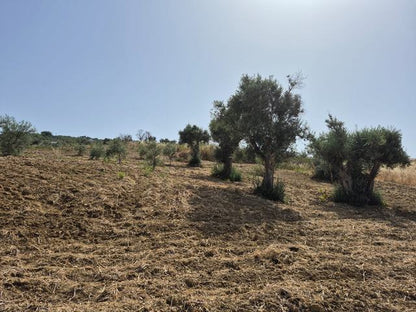RURAL BUILDING WITH LAND – CONTRADA CASTELLACCIO