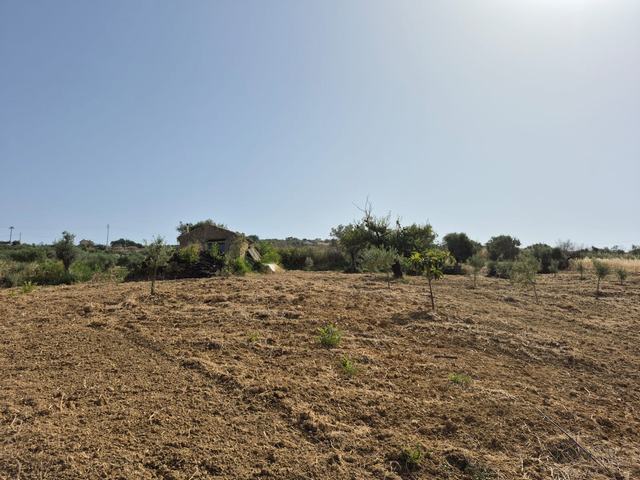 RURAL BUILDING WITH LAND – CONTRADA CASTELLACCIO