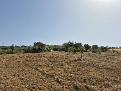 RURAL BUILDING WITH LAND – CONTRADA CASTELLACCIO
