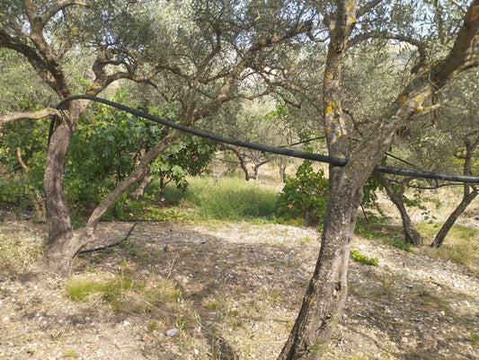 LAND AND WAREHOUSE BELLONE (BIVONA)